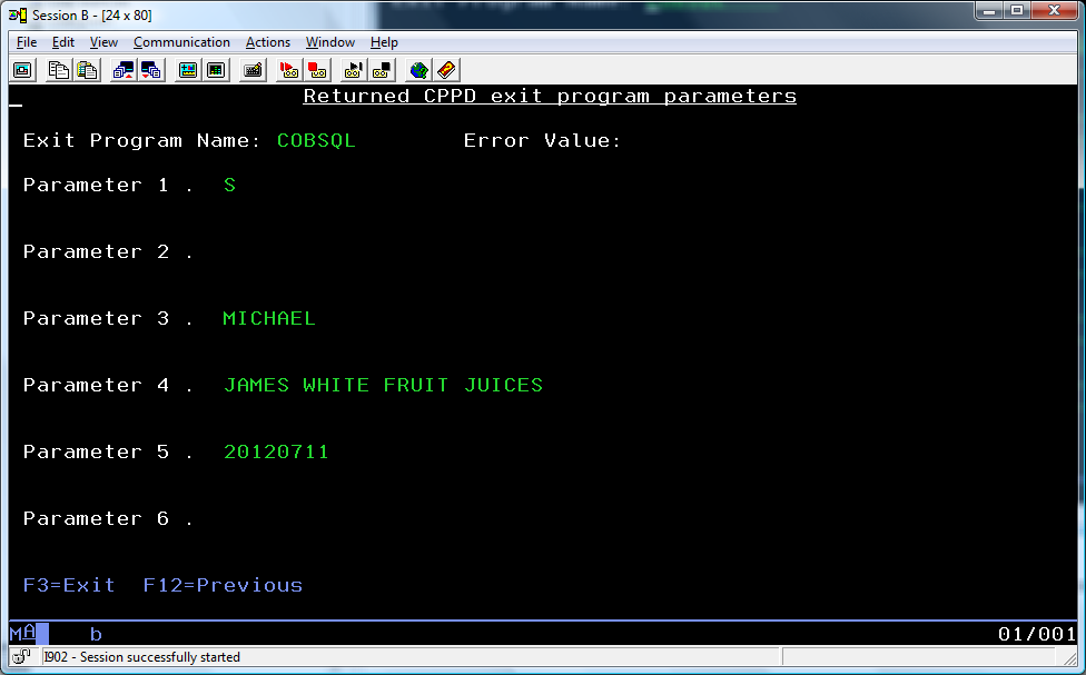 COBSQL Result